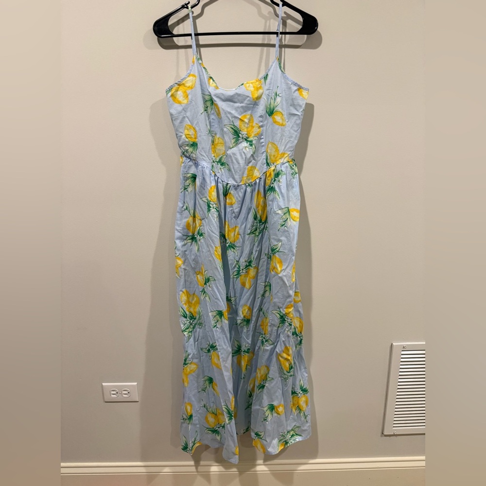 NWT GAP Women’s Medium Blue and Yellow Lemon Floral Print Scoopneck Midi Dress